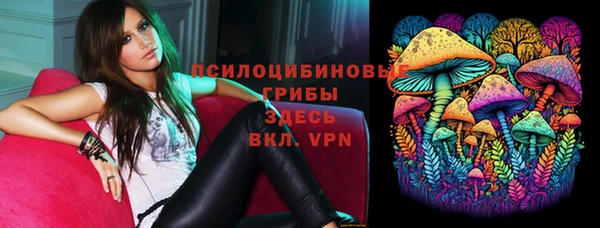 бошки Алзамай