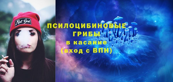 бошки Алзамай