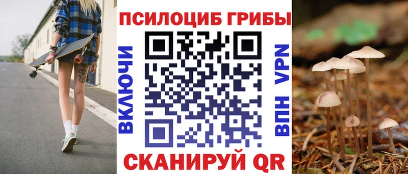 Псилоцибиновые грибы GOLDEN TEACHER  кракен зеркало  Новомичуринск 
